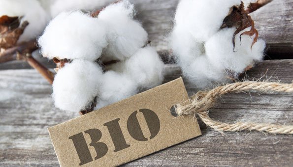 Bio Baumwolle – Wieso wir ausschießlich Biobaumwolle für unsere Schals, Tücher und Kissen verwenden